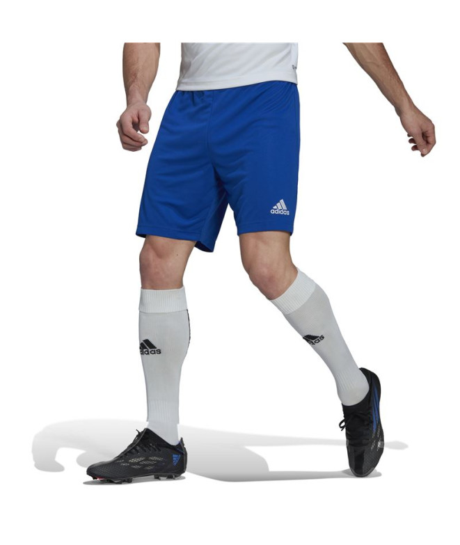 Calça de Futebol adidas Ent22 Homem