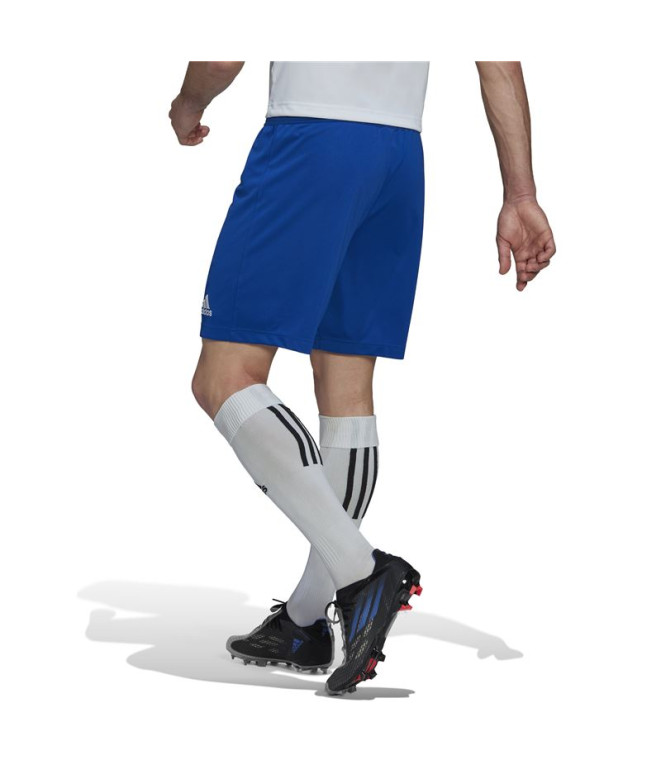 Pantalons de Football adidas Ent22 Homme