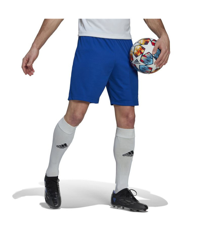 Calça de Futebol adidas Ent22 Homem