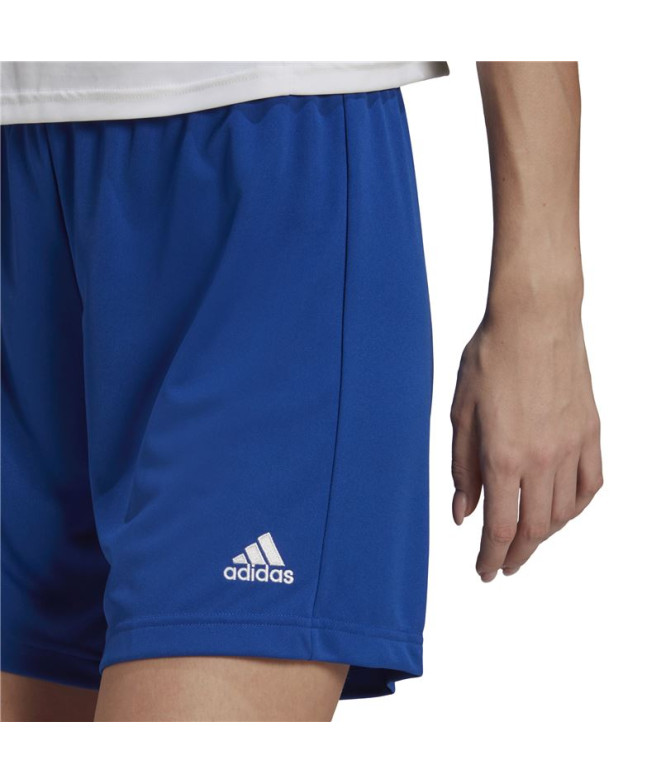 Calças de futebol adidas Ent22 Lw Women's