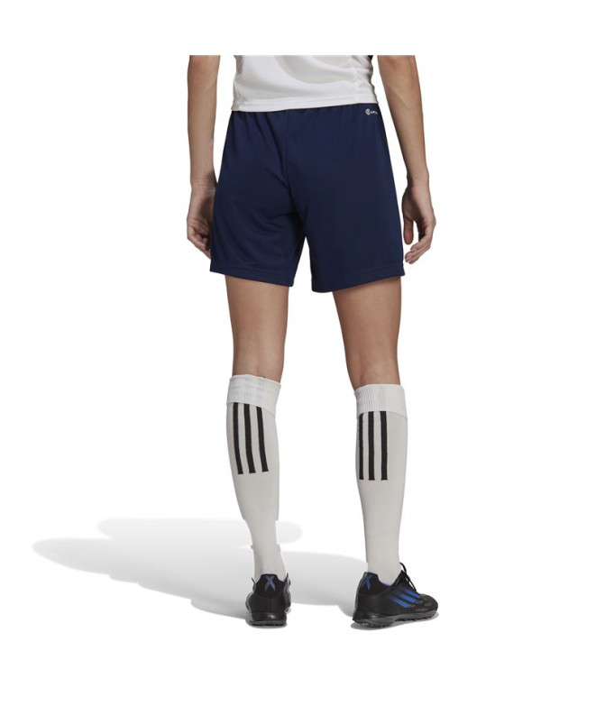 Calças de futebol adidas Ent22 Lw Women's