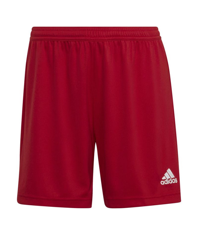 Pantalon de football adidas Ent22 Lw Women's