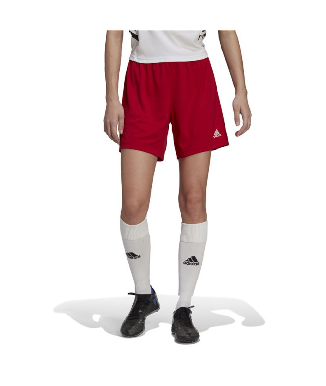 Pantalones de Fútbol adidas Ent22 Lw Mujer