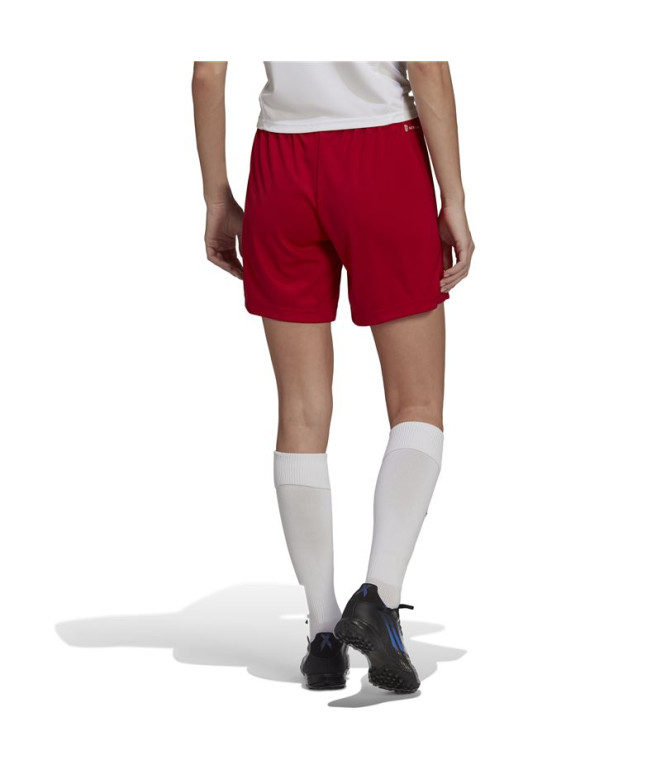 Pantalon de football adidas Ent22 Lw Women's