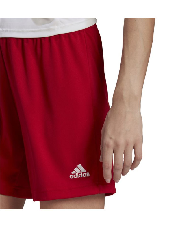 Pantalones de Fútbol adidas Ent22 Lw Mujer