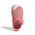 Sandalias de natación adidas Altadventure 2.0 Bebé Coral