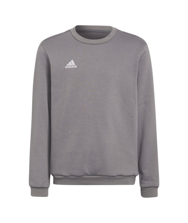 Sweatshirt de futebol adidas Ent22 Topy Kids