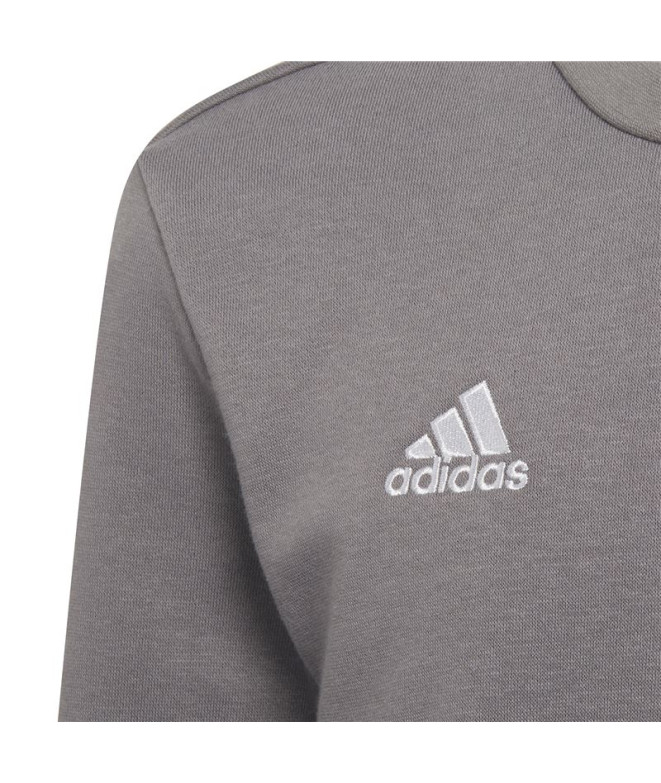 Sweatshirt de futebol adidas Ent22 Topy Kids