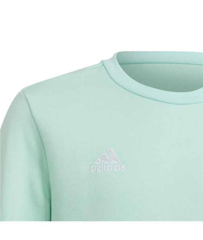 Sweat de Football adidas Ent22 Topy Enfant