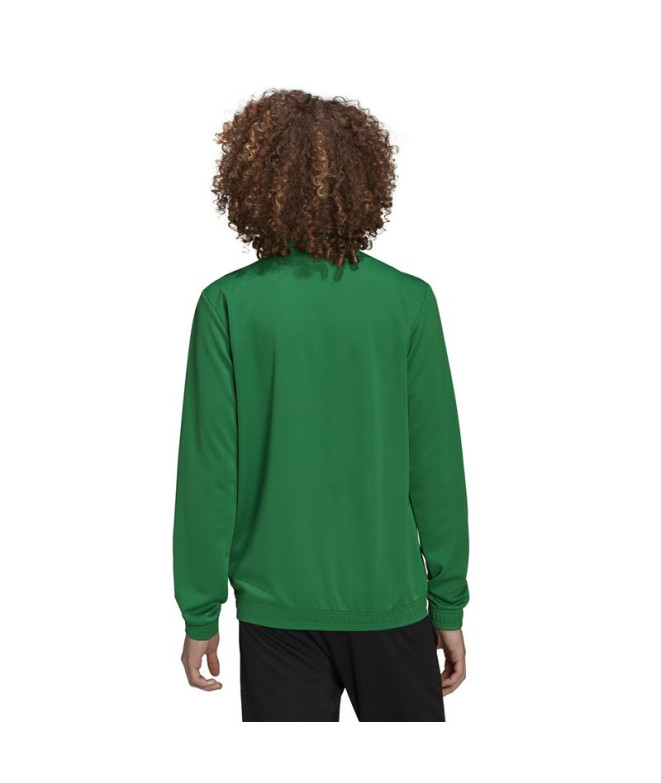 Chaqueta de fútbol adidas Entrada 22 M Green