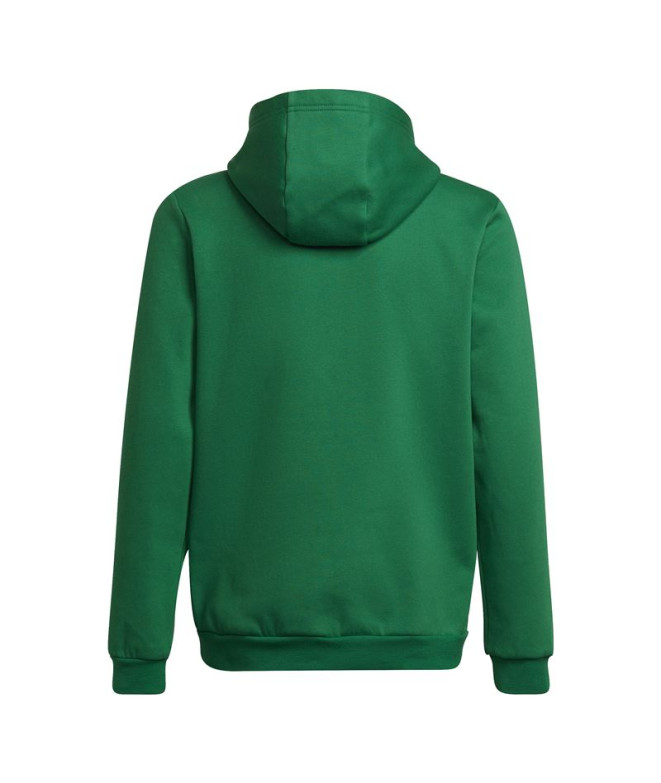 Football Hoodie adidas Entrance 22 Kids Green