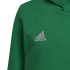Sudadera con Capucha de fútbol adidas Entrada 22 Kids Green