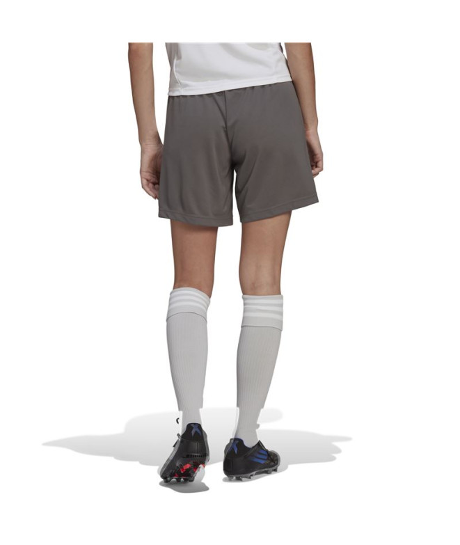 Calças de futebol adidas Ent22 Lw Women's