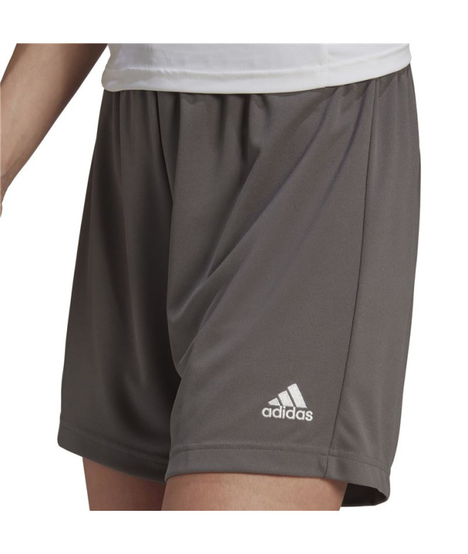 Pantalon de football adidas Ent22 Lw Women's
