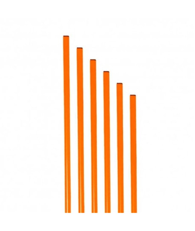 Pica de Entrenamiento Zastor Orange