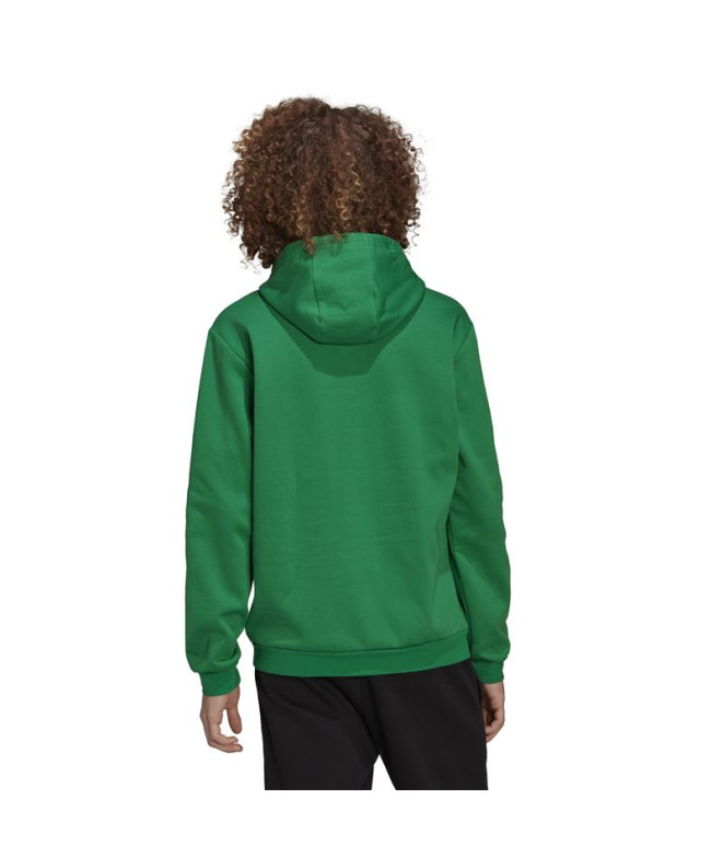 Sudadera de fútbol adidas Entrada 22 M Green