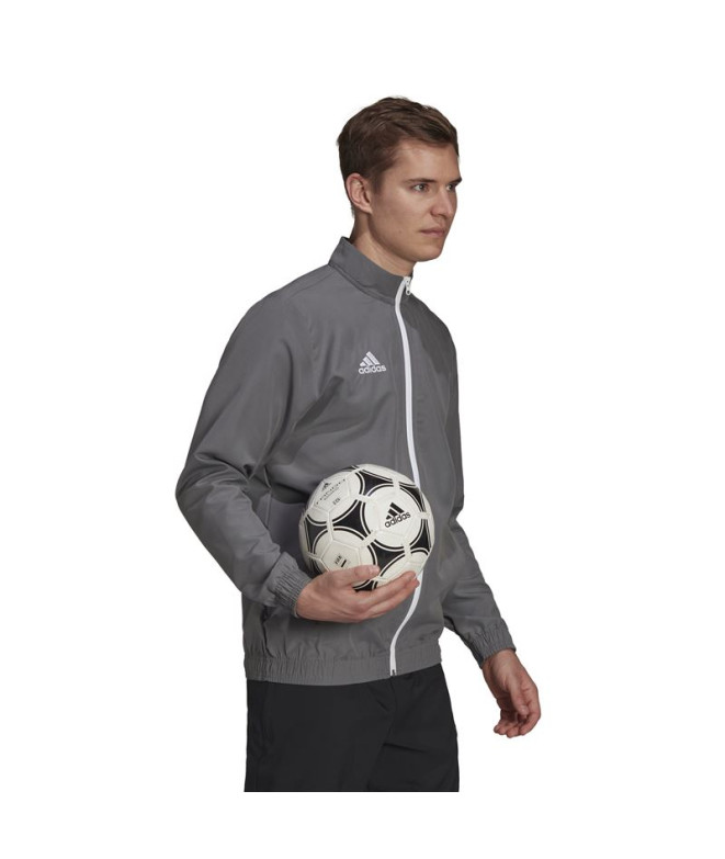Veste Football adidas de Ent22 Pre Homme