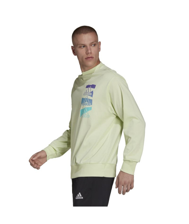Sudadera adidas Essentials Brandlove Green