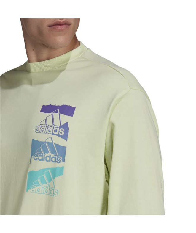 Sweatshirt adidas Essentials Brandlove Green