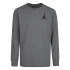 Camiseta Jordan Air Emroidery Gris