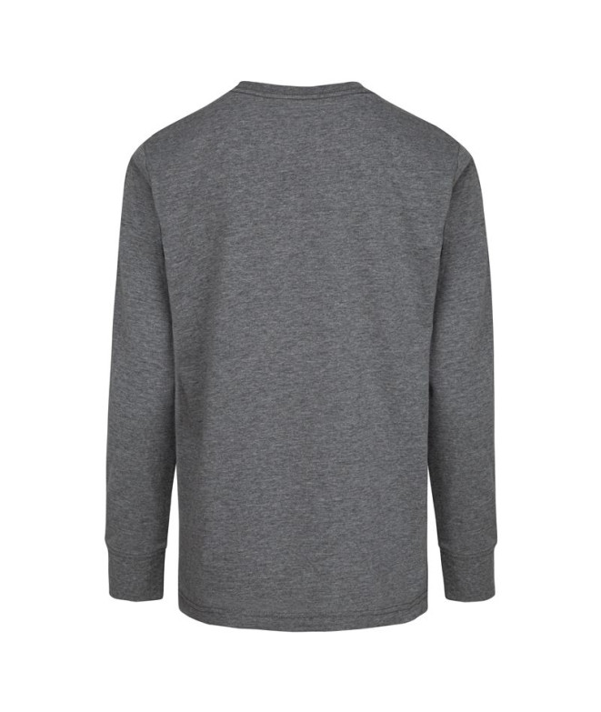 Camiseta Jordan Air Emroidery Gris