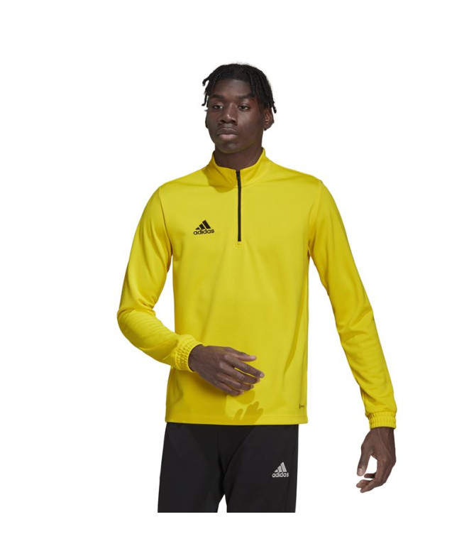 Sweat adidas Homme formation Entrée 22 Jaune