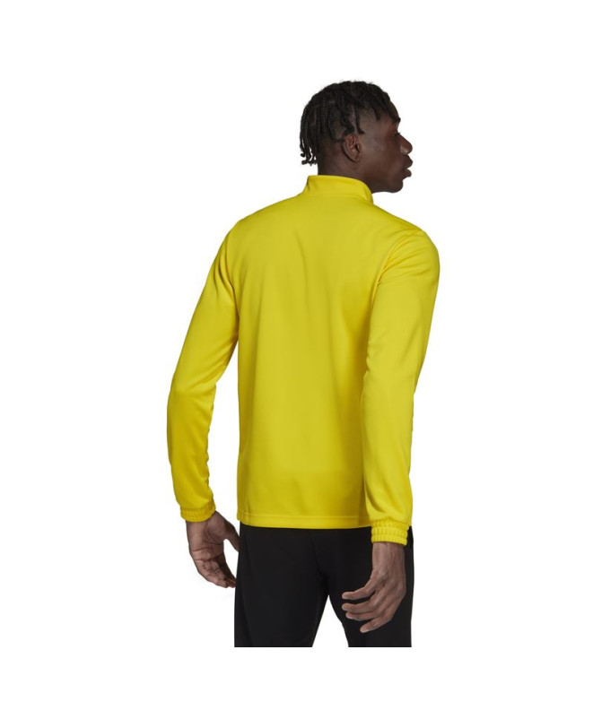 Sweat adidas Homme formation Entrée 22 Jaune