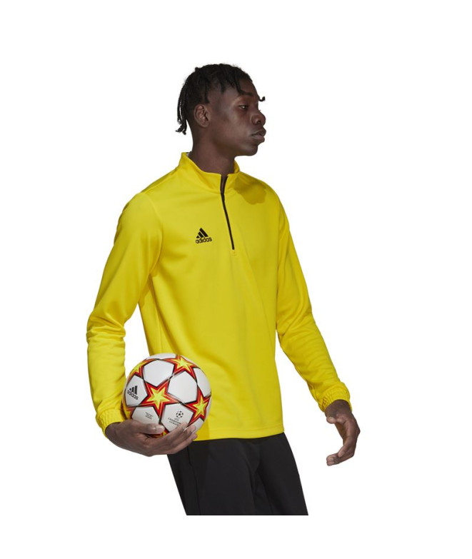 Sweat adidas Homme formation Entrée 22 Jaune