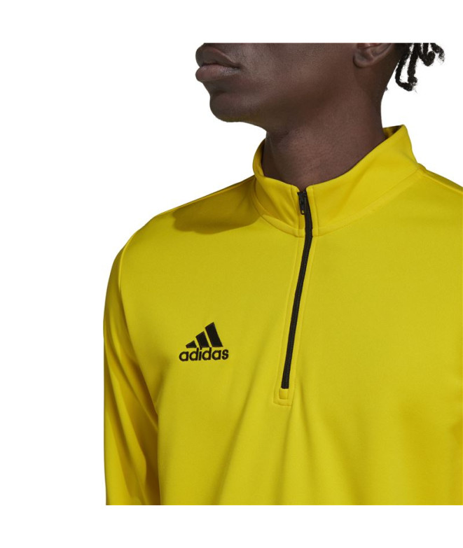 Sweat adidas Homme formation Entrée 22 Jaune