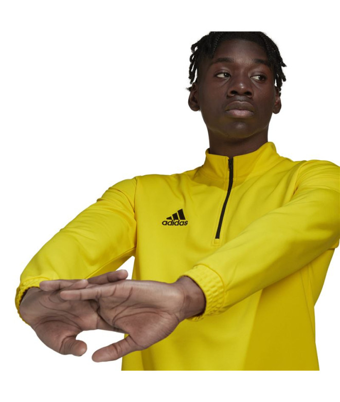 Sweat adidas Homme formation Entrée 22 Jaune