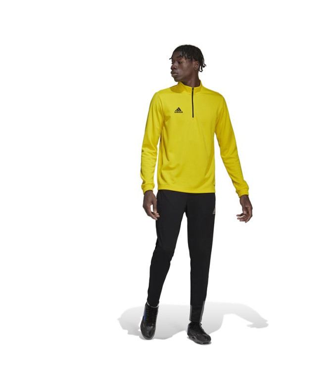 Sweat adidas Homme formation Entrée 22 Jaune