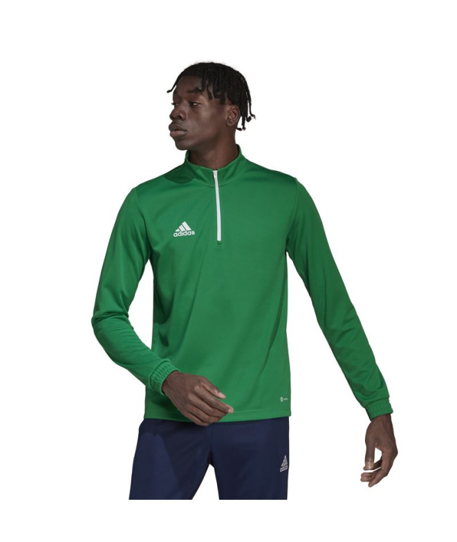 Sweat adidas entraînement Entrée 22 Homme Vert