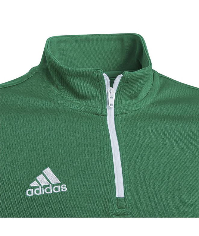 Sweatshirt adidas training Entrada 22 Kids Green
