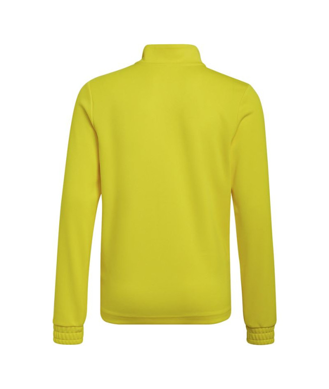 Sudadera adidas entrenamiento Entrada 22...