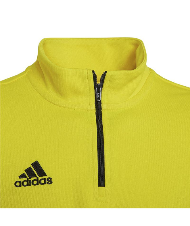 Sudadera adidas entrenamiento Entrada 22...