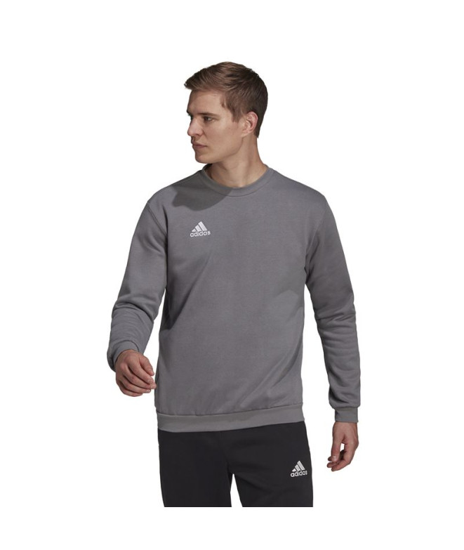 Sudadera de Fútbol adidas Ent22 Camiseta Hombre