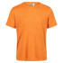 T-shirt de fitness Regatta Fingal Edition Homem OU