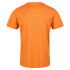T-shirt de fitness Regatta Fingal Edition Homem OU