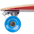 Longboard DStreet Pintail Ocean RD