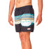 Fato de banho Rip Curl Volley emoldurado Homem impresso