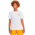Camiseta Nike Homem Roupa de desporto WH