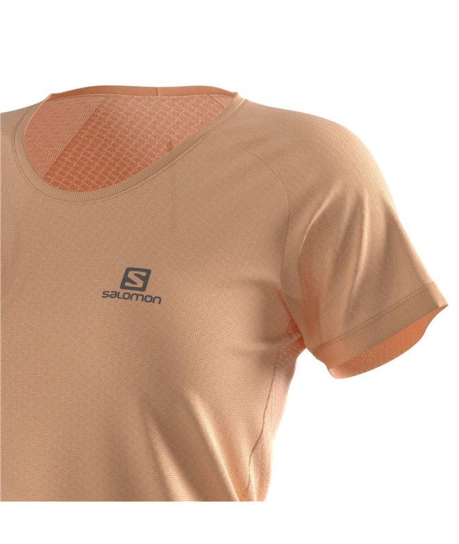 Camiseta de running Salomon Cross Rebel Mujer...