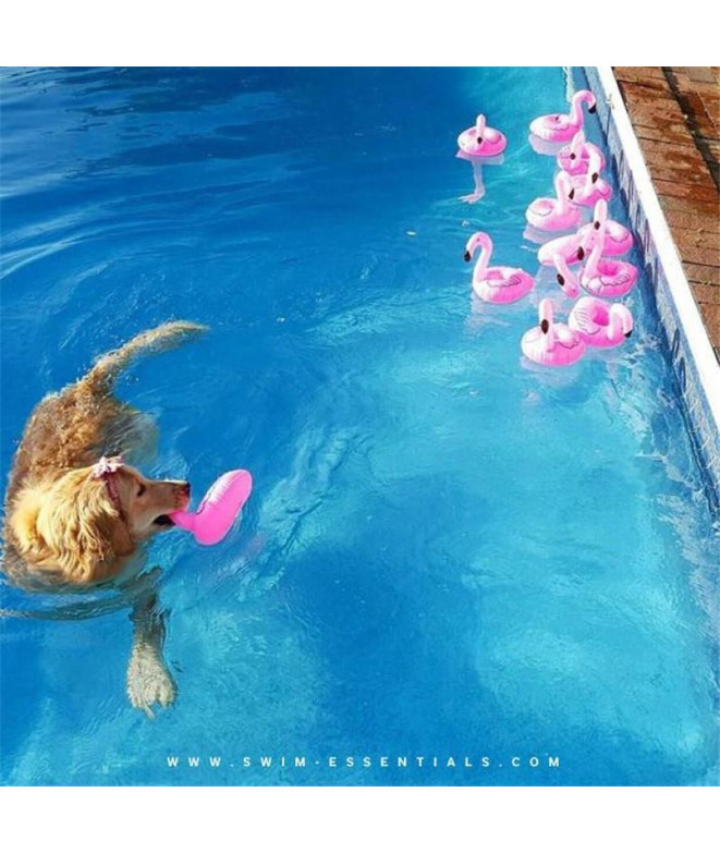 Porte-gobelet flotteur Swim Essentials Flamant...