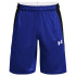 Short Under Armour Baseline Homme Bleu