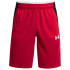 Calções Under Armour Baseline Vermelho para homem