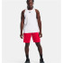 Calções Under Armour Baseline Vermelho para homem