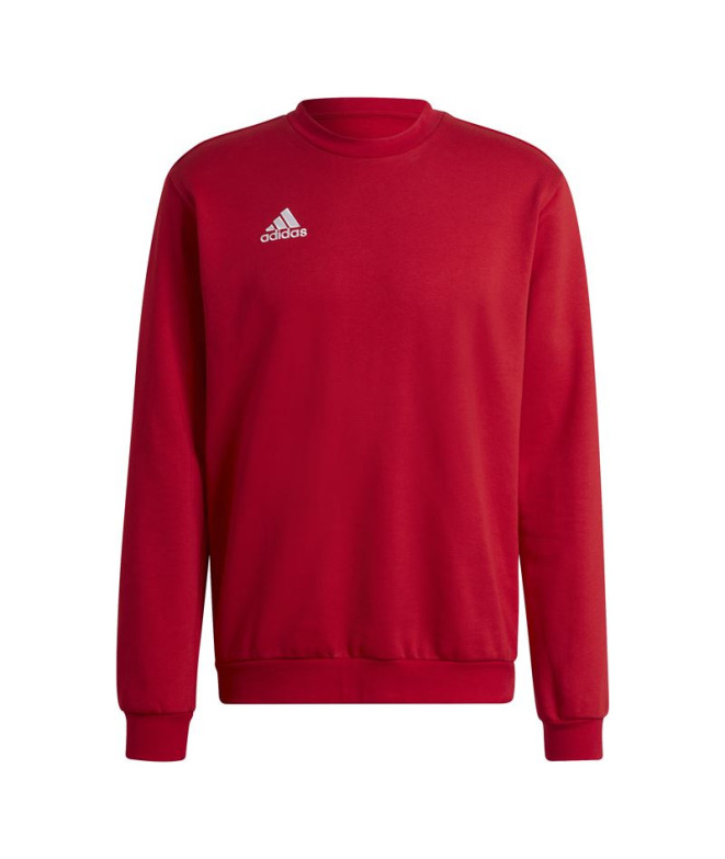 Moletom Futebol adidas Camiseta de Ent22 Homem