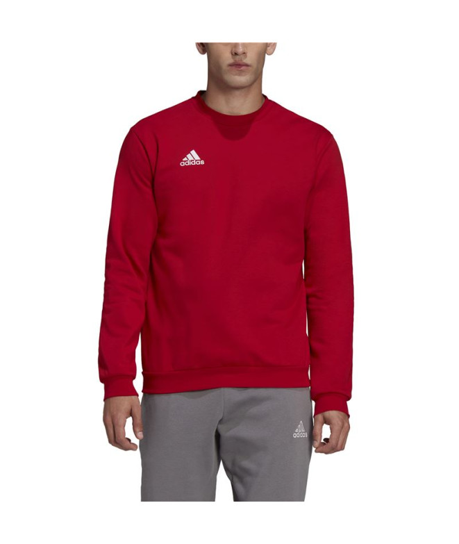 Moletom Futebol adidas Camiseta de Ent22 Homem