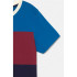 Camisola Tricolor do F.C.Barcelona Escudo do Barça Júnior