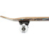 Skate Tony Hawk SS 180 Complete Captain Mini RD